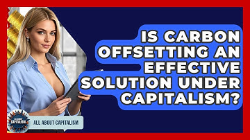 Is Carbon Offsetting An Effective Solution Under Capitalism? - All About Capitalism