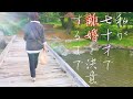 【離婚が成立するまで~その1】離婚を決断する決定的な出来事【vlog/シニアライフ】