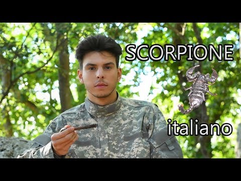 Video: Puntura Di Scorpione