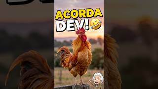Coisas que todo DEV iniciante confunde! 🤯