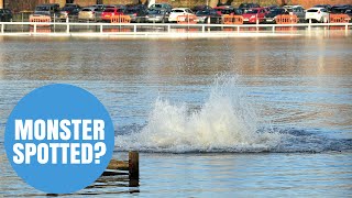 Worcester's own 'Loch Ness Monster' spotted?