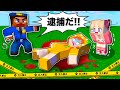 『犯人は私じゃない❗️💦』マイクラで本物の泥棒を探し出した結果！？#ぴこみんず 〔セキュリティ逆脱獄マインクラフト〕