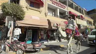 Egyptian knows Australia well