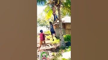 Funny Stealing Coconut #funny Video short #likeandsubscribe