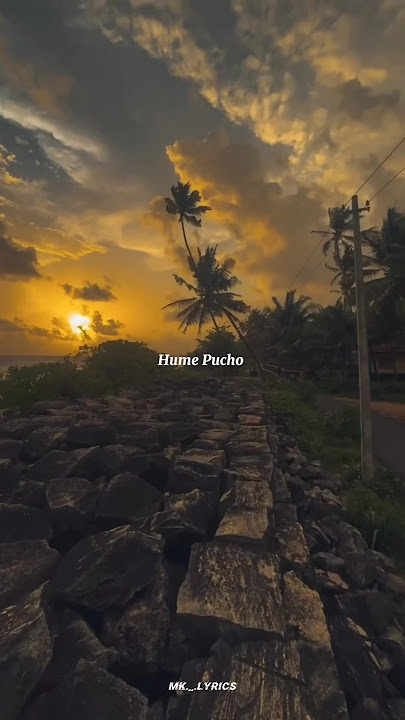 Hume Pucho Kya 🫶🏻❤️‍🩹 || Tum Hi Aana || Marjaana || #love #lofi #hindisong #sad #sadsong #shorts