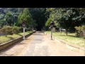 諏訪神社（香取市佐原）・象気功