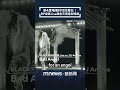 國際舞台的音樂活動