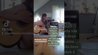 Stockholm - Ruben och Trubadurerna (SHORT COVER)