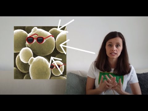 Video: Plesňové Infekcie (kvasinky) U Mačiek