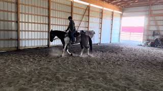 Sohh Cl 38 Youth Ranch Wtc 4222024 Hallie & Gunner