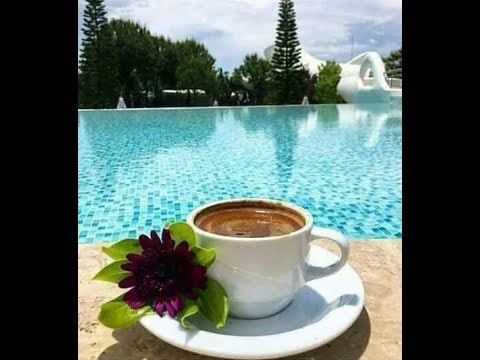 وائل كفوري بقولو نسيت حبي