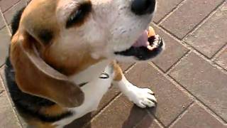 CIMG0648.AVI