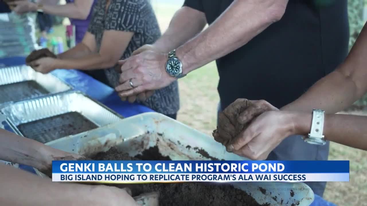 Genki Balls get to work cleaning up Ala Wai and Big Island's Waihonu