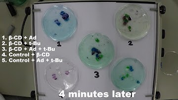 Hydrogel Host-Guest Interactions [auto]