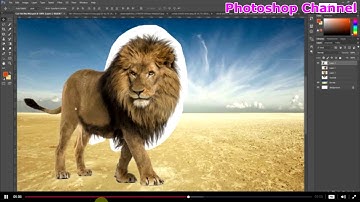 23  Tách tóc sao cho nhanh và hiệu quả