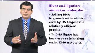 BIO732 Topic029