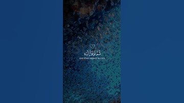 تلاوة خاشعة #trendingvideo #اكسبلور #اعتني #المصحف #fyp#viralvideo #tiktok #دويتو #الرحمن #duet