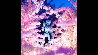 Download lagu piElpyminen (Full Album) - pink forestry