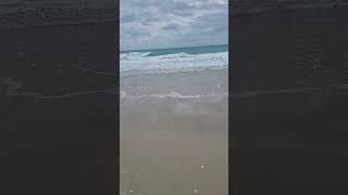 Psalm 94: 10-12 Devotional from Singer Island: Remove the Vanity out of our Lives