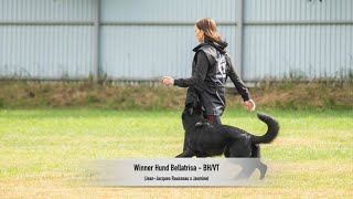 Winner Hund Bellatrisa  BH/VT