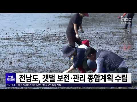 전남도, 갯벌 보전·관리 종합계획 수립[목포MBC 뉴스투데이]