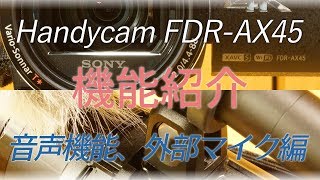 【Handycam】FDR-AX45 レビュー(音声機能、外部マイク)【SONY】