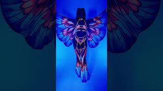 Butterfly Wings in Motion 🦋 Fairycore Rave Outfit
