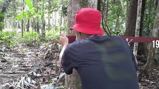 FOR 314 - Forest Statistics and Mensuration: Part 4