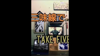 和楽器ジャズ「take five」三味線で弾いてみた