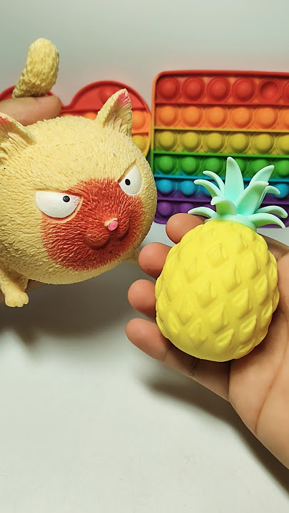 Funny Pussy Cat and Pineapple 🍍! #trend #trending #viral #shorts #funny