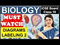 DIAGRAM BASED SURE SHOT QUESTIONS PART 2 | BIOLOGY BOARD EXAMS | ICSE CLASS 10