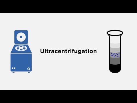 Video: Přímá Izolace A Charakterizace Cirkulujících Exosomů Z Biologických Vzorků Pomocí Magnetických Nanowirů