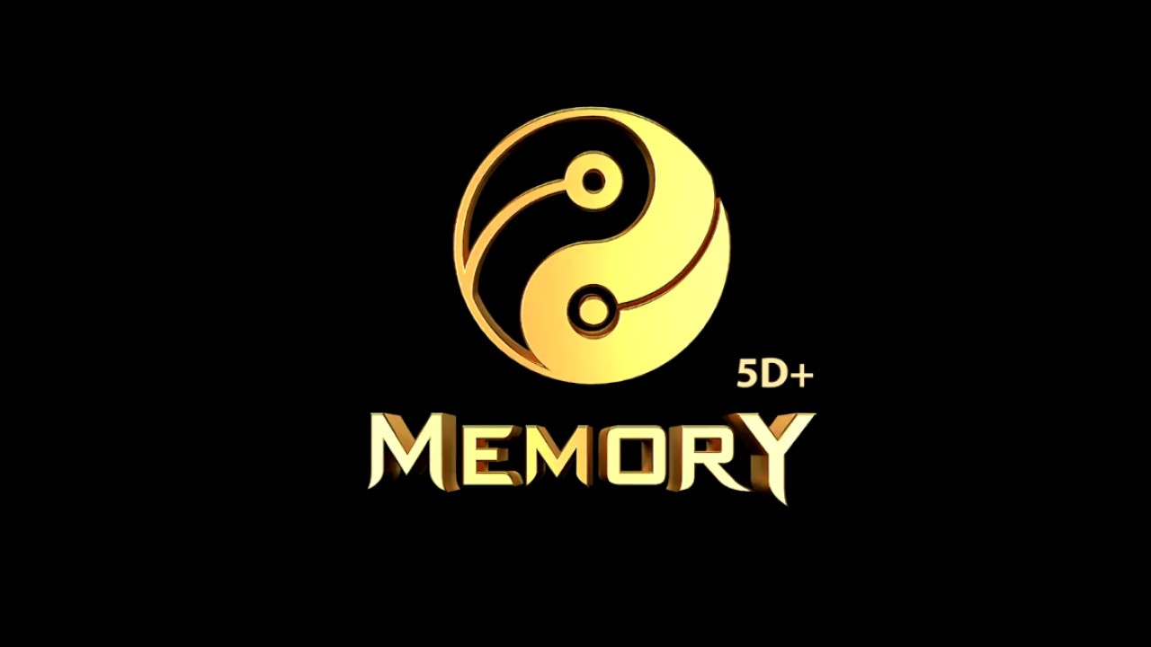 Image result for memory 5d+ show