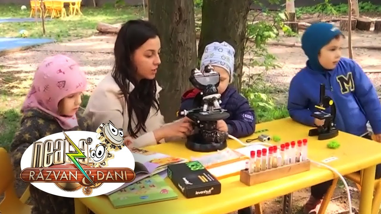 Copiii sărbătoresc Ziua Pământului prin activități în care învață să protejeze mediul emisiune antena 1