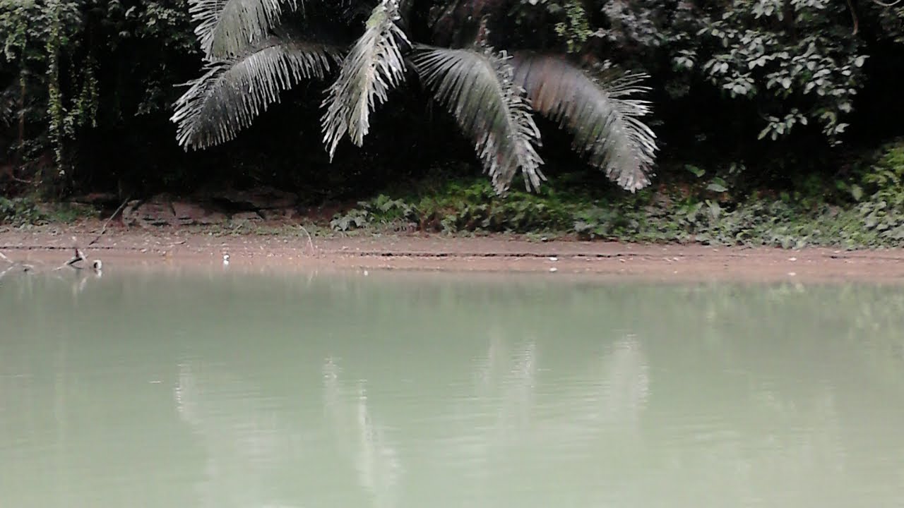 Horrible - Scorbut | Noise Rock Improvisation | Full Album (