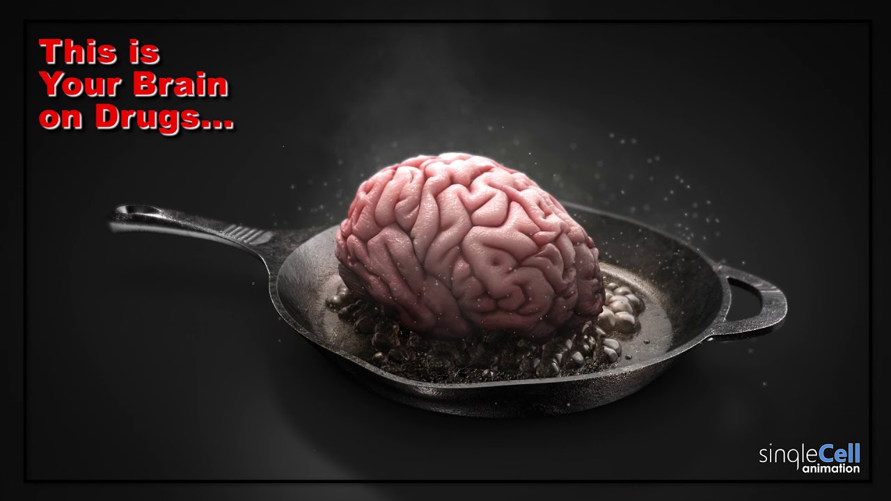 This Is Your Brain On Drugs Gif