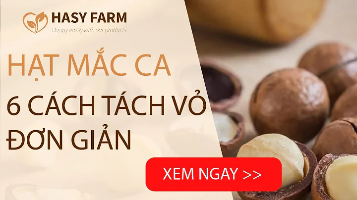 Top 20 hạt macca tách vỏ