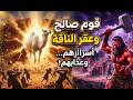 أيام الرعب الثلاثة كيف تغيرت وجوه عمالقة قوم ثمود قبل الهلاك 