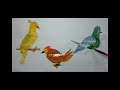 DRAWING DIFFERENT BIRDS FOR CHILDREN /РИСОВАНИЕ РАЗНЫХ ПТИЦ ДЛЯ ДЕТЕЙ /  TURLI HIL QUSHLARNI CHIZISH