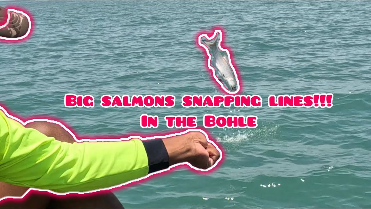 Big salmons snapping lines in the Bohle!!! Townsville fishing!!!Bohle ...