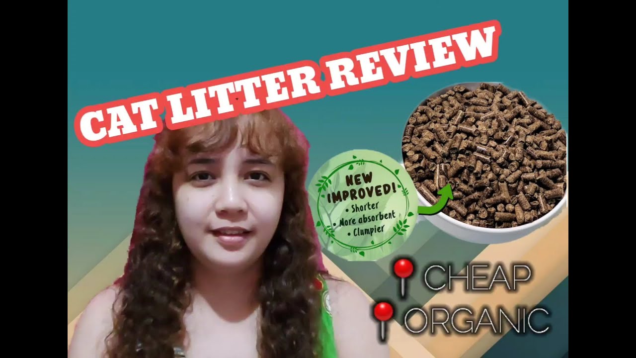 Cheap and Organic WOOD PELLET CAT LITTER YouTube