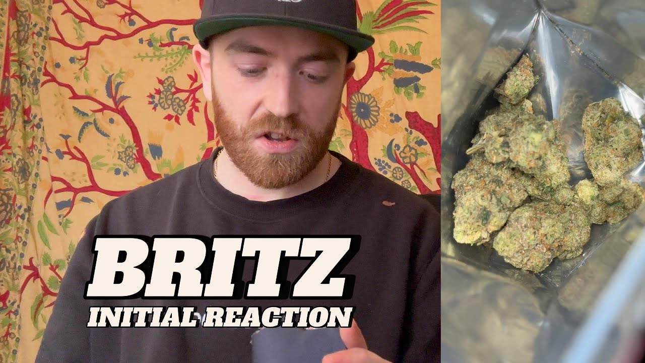 Первоначальная медицинская реакция Министерства энергетики США (BRITZ)