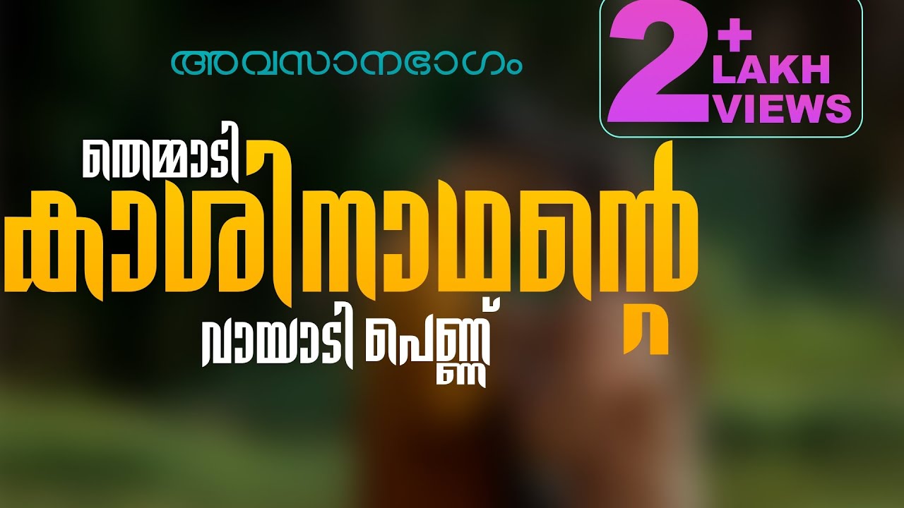 തെമ്മാടി കാശിനാഥന്റെ, വായാടി പെണ്ണ്.. അവസാനഭാഗം... SHAHUL MALAYIL