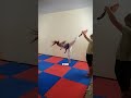 Unbelievable kicking skills  maksymsmirnoff
