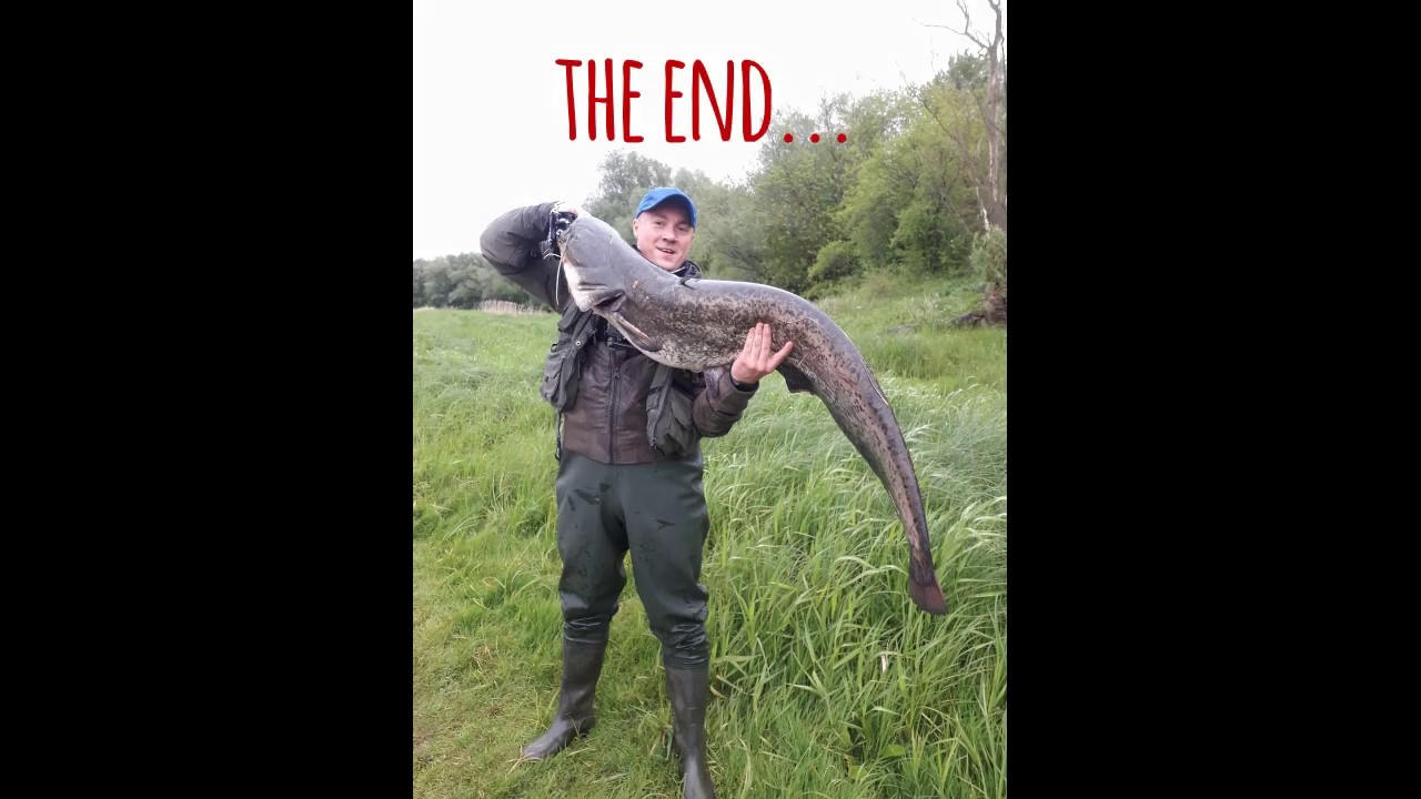 SUM 132cm NA SPINNING!!!!! NAREW 2020!!!! / Towing catfish on the Narew river!!!!! 2020!!!! Spinning
