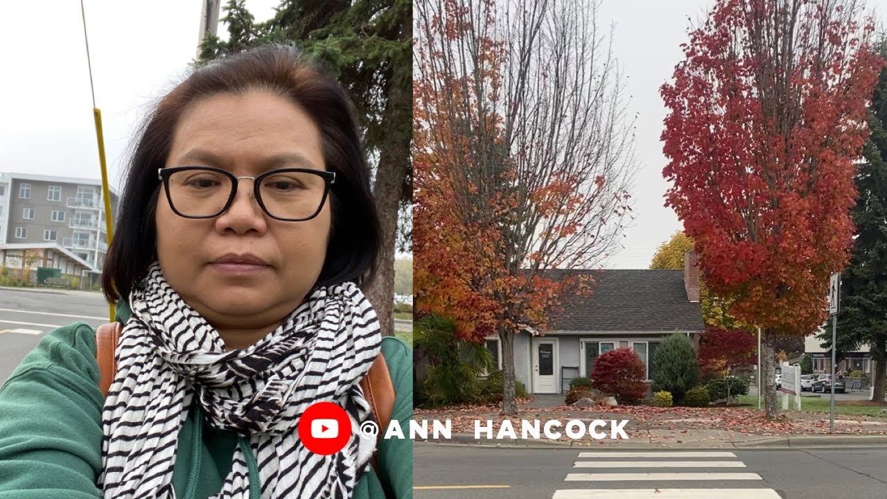เช้านี้หมอกลงเยอะมากค่ะ เดินทางชมวิวกับมีัแอน🇨🇦Ann Hancock YouTube