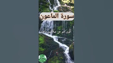 سورة الكوثر بصوت ياسر الدوسري #ياسر_الدوسري #quran #القرآن_الكريم #ماهر_المعيقلي #اكسبلور