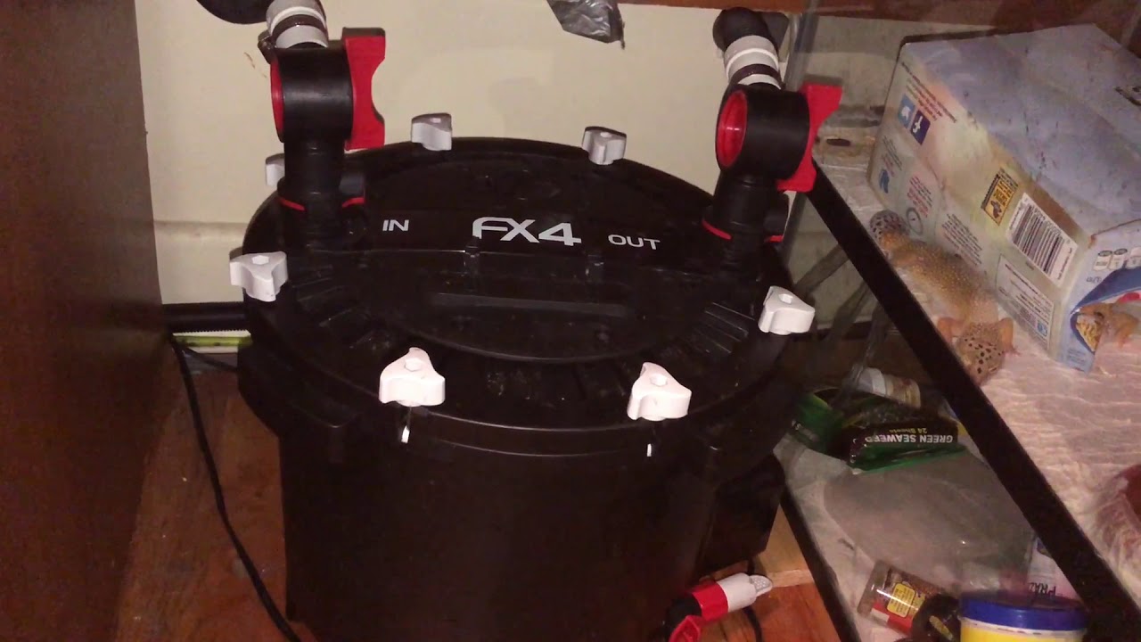 Fluval FX4 Canister filter YouTube
