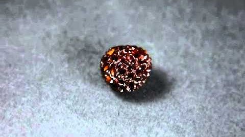 Round Ek Mukhi Rudraksha Price