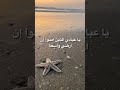 سورة هادئة سورة العنكبوت يا عبادي الذين امنوا ان ارضي واسعة
